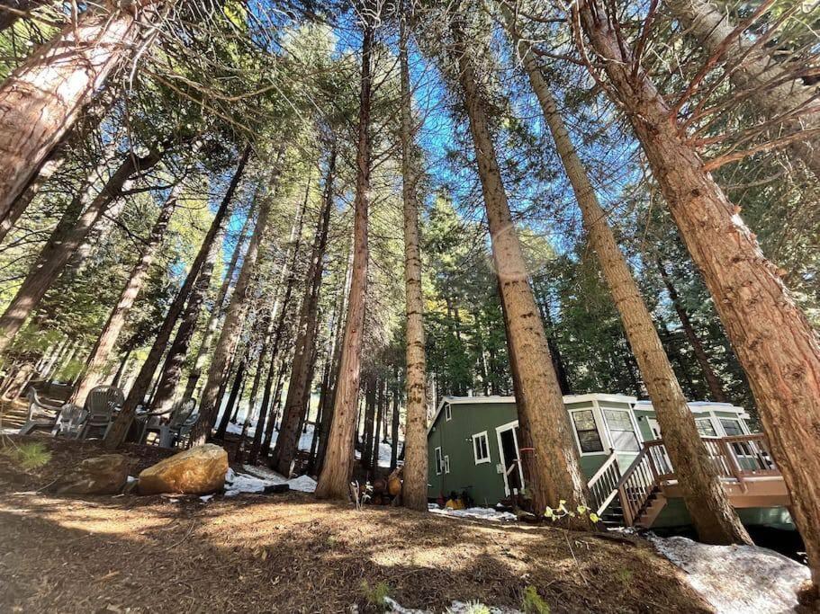Cedar Oasis - Home Base To Big Trees Arnold Kültér fotó